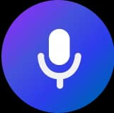Mic Button